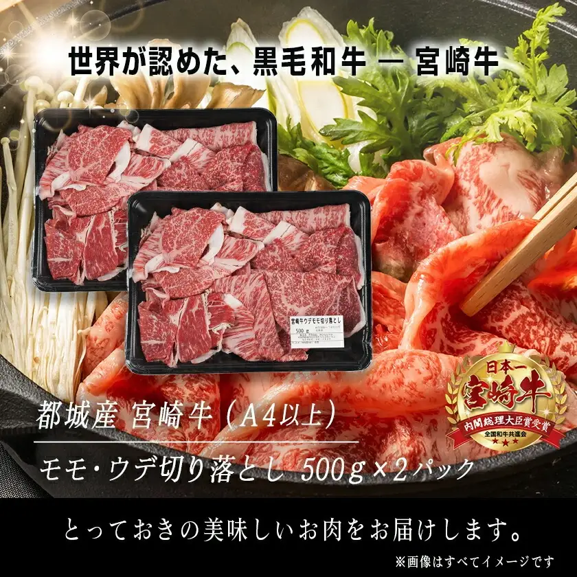 宮崎牛モモ・ウデ切り落とし1kg_〔16-25-014〕_(都城市) A4ランク以上 宮崎県産 黒毛和牛 モモ・ウデ切り落とし 500g×2パック もも肉 うで肉 牛赤身肉 小分けパックすき焼き 炒め物 牛丼