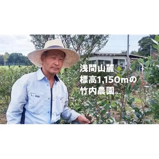 【数量限定】 冷凍ブルーベリー2kg 国産 [AD003tu]