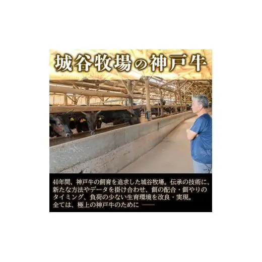 城谷牧場の神戸牛 ロース 焼肉 600g 国産牛 和牛 神戸ビーフ バーベキュー BBQ 冷凍