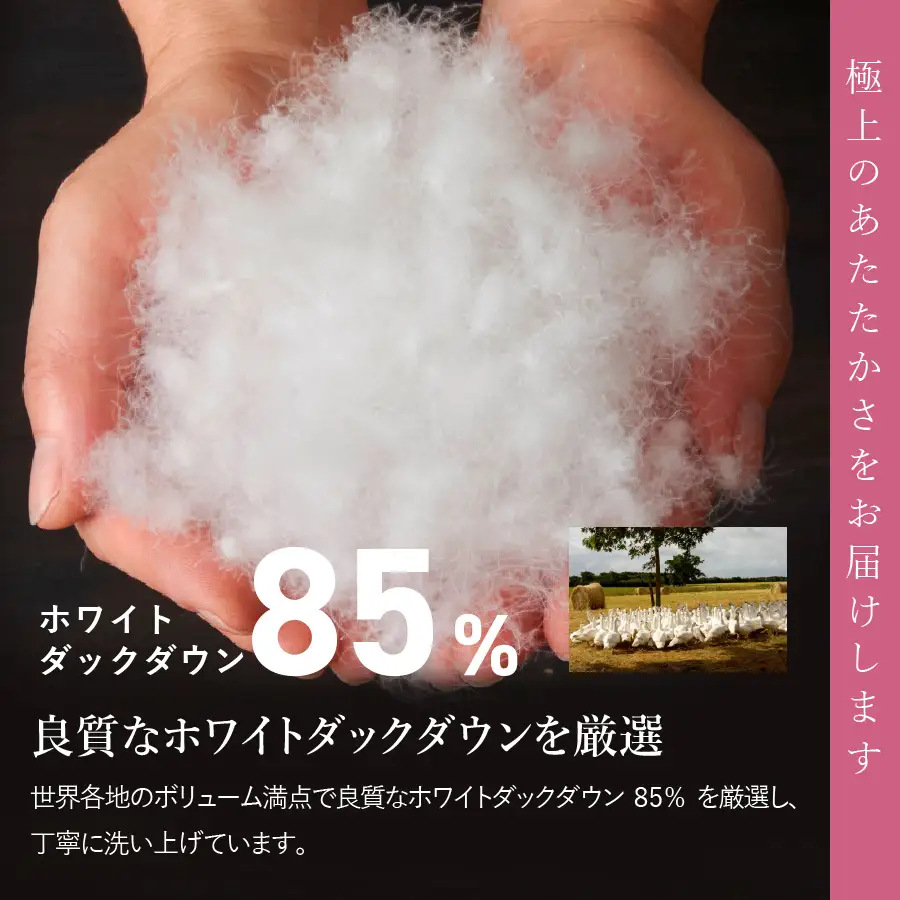 布団 【訳あり】甲州羽毛ふとん　本掛けふとん（ダブル/お任せ柄）ダウン85％ 専用収納ケース
