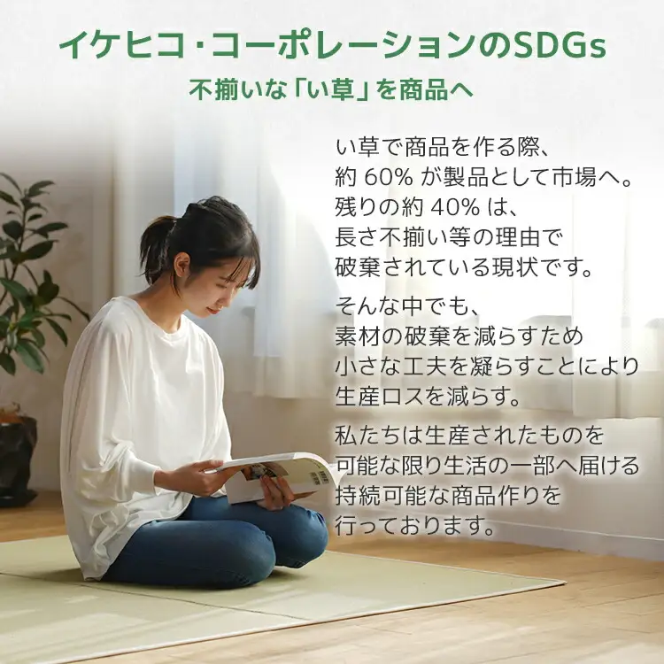 ＰＰカーペットウィードＢＲ江戸間６畳（261Ｘ352）　AA056
