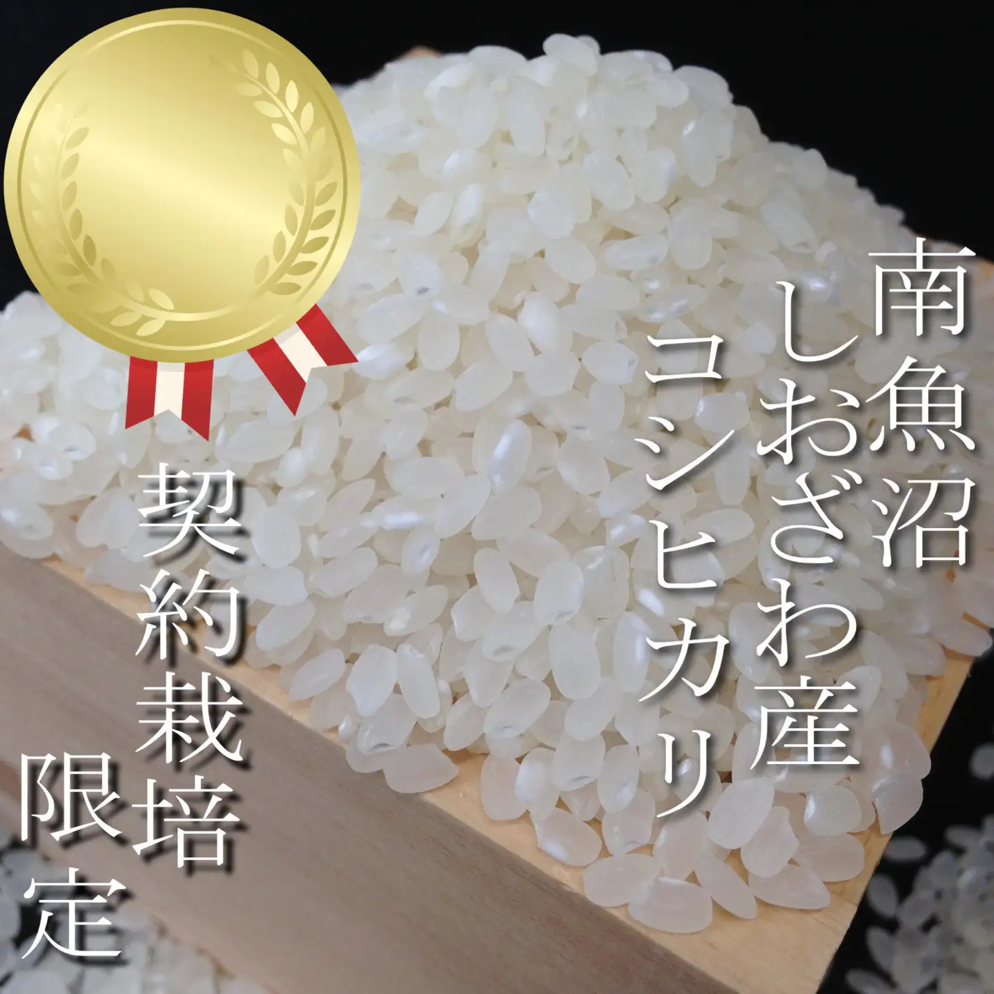 【令和7年産】【定期便： 5Kg×3ヶ月】生産者限定 契約栽培 南魚沼しおざわ産コシヒカリ【定期便 銘柄米 ブランド米 精米 こしひかり コシヒカリ 魚沼産 新潟米 産地直送 お米 米 こめ コメ ご飯 御飯 ごはん】