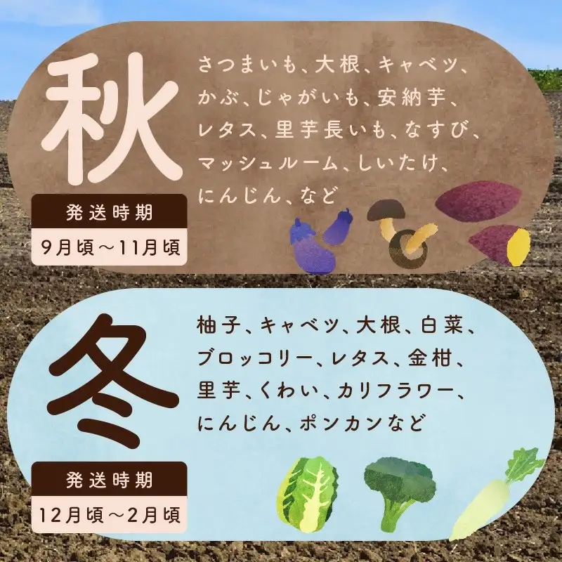 旬の野菜セット 15種類
