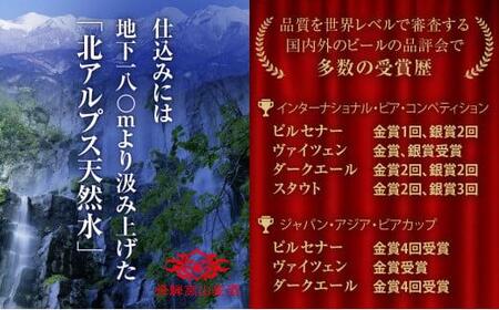 地ビール 飲み比べセット 500ml 6種12本 詰め合わせ ビール 地ビール クラフトビール  ドイツ産 贈り物  コロナ支援  ピルセナー ペールエール ヴァイツェン ダークエール スタウト カルミナ ［FS037］