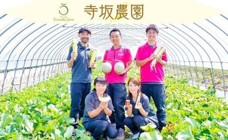 【2026年発送】【中富良野町】寺坂農園ミニトマト　ほれまる　2kg 【BF-005】