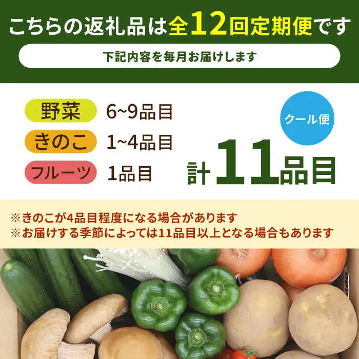 【12回】野菜定期便 11品目 野菜セット [SCZ007]
