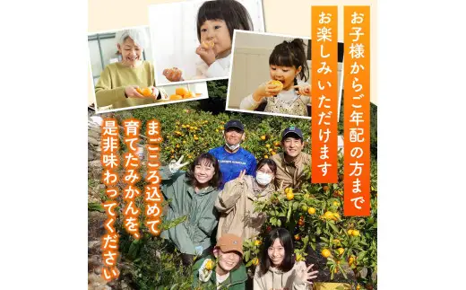 完熟さつき八朔 8kg / はっさく 柑橘 由良町 果物 フルーツ 産地直送 和歌山 ※3月上旬～4月上旬頃に順次発送【kzmn022-r-8】