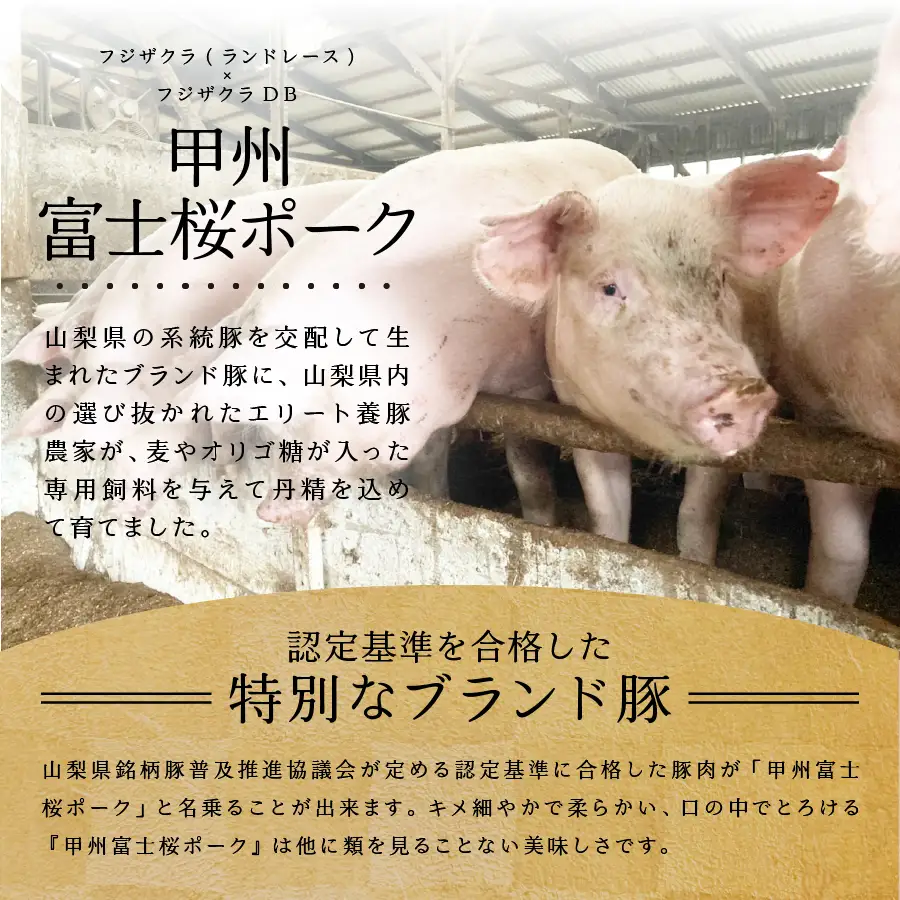 【ふるなびWEEK対象】 山梨県産 熟成肉 ハンバーグ 10個 セット 冷凍 ハンバーグ