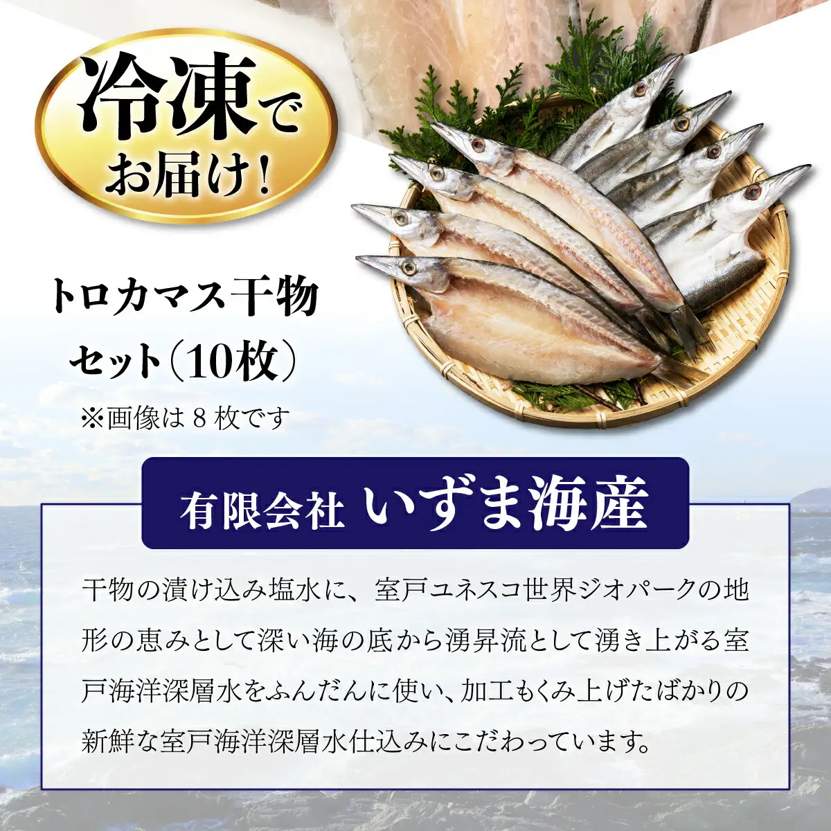 カマス 干物 10枚 国産 カマス