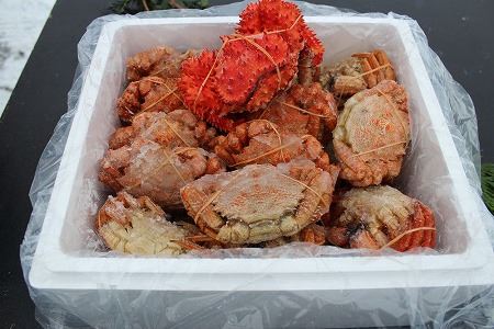 【北海道根室産】クリガニ24～28尾(計4kg前後)、花咲ガニ1尾 A-57046