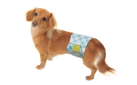 犬用おむつ おしっこ用 大型犬 ペット用品 犬用おむつ【20枚×2袋】