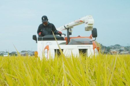 第22回コンクール金賞受賞！ 令和6年産 特別栽培米 にこまる 玄米 5kg [ぽてと倶楽部 長崎県 雲仙市 item1806] 米 お米 こめ コメ 特別栽培