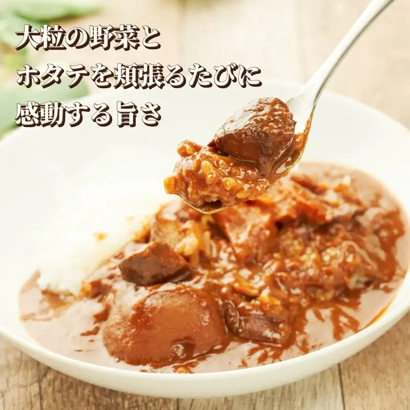 カレーセット 野菜ビーフカレー 野菜ほたてカレー レトルト カレーセット【各5個】