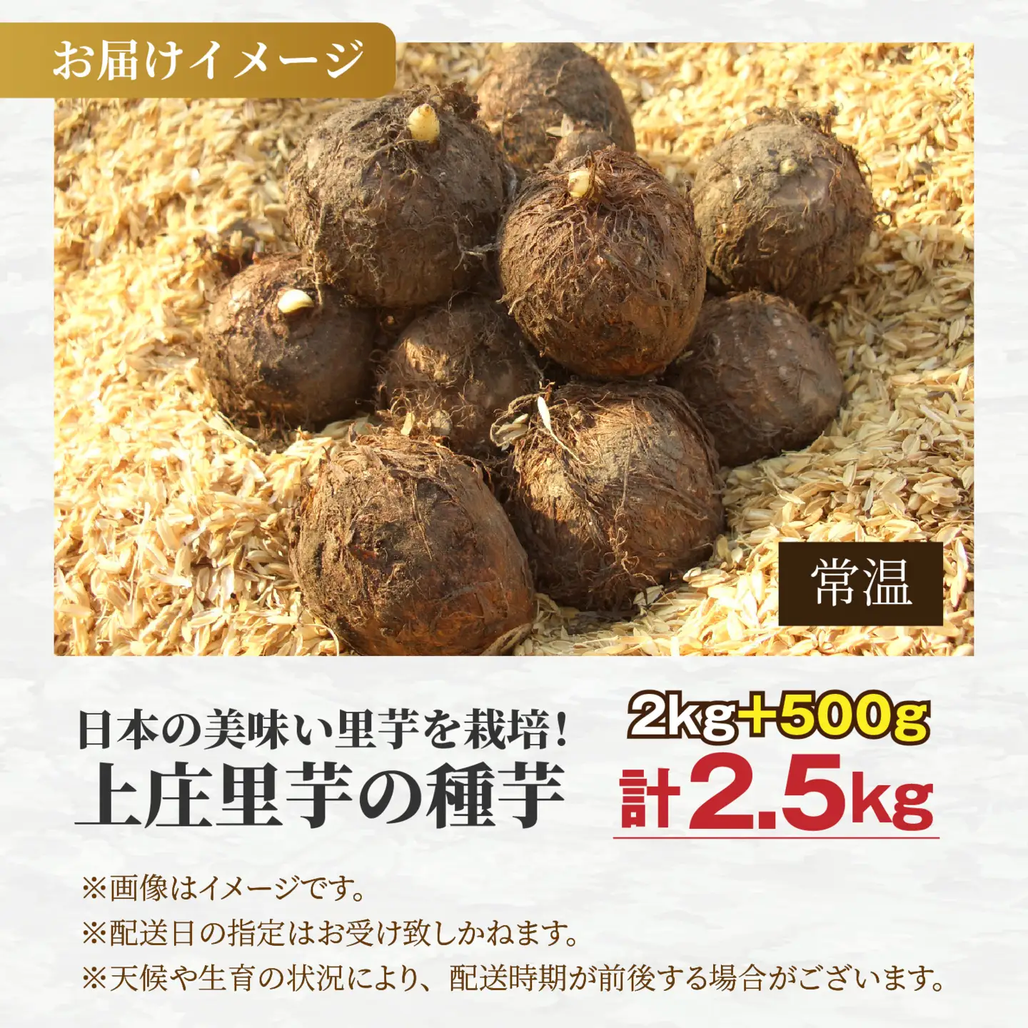 【先行予約】日本の美味い里芋を栽培！上庄里芋の種芋 2kg + 500g【2027年3月10日～出荷】 [A-001014]