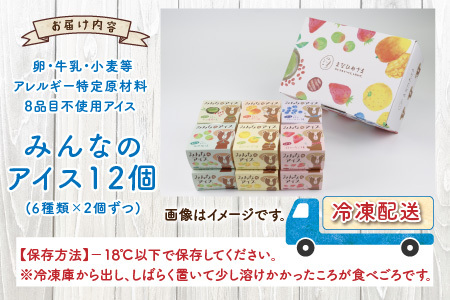 みんなのアイス 12個セット（ 卵・牛乳・小麦等アレルギー特定原材料8品目不使用のアイス ） [A-031004]