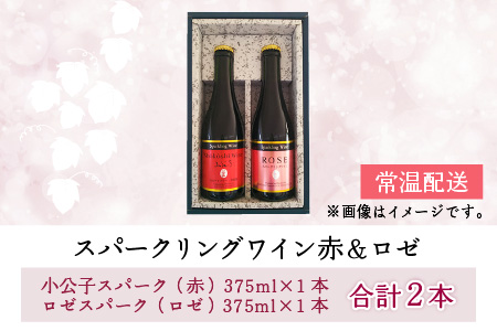 スパークリングワイン 赤 ＆ ロゼ 375ml 2本セット [A-021006]