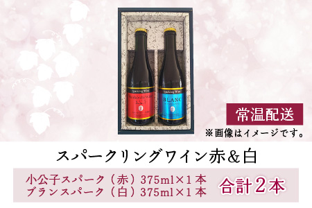 スパークリングワイン 赤 ＆ 白 375ml 2本セット [A-021007]