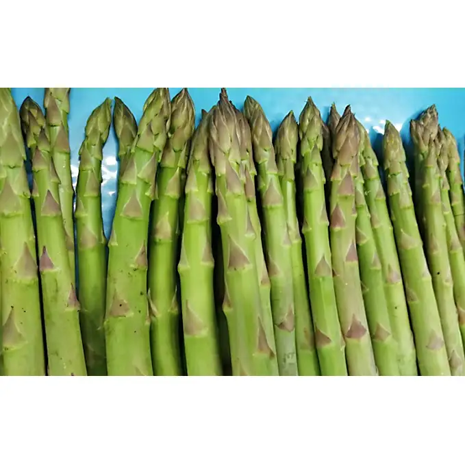 期間限定！極太アスパラ 【さぬきのめざめ1kg】  3Lサイズ 野菜セット 野菜 アスパラガス 