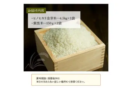 ヒノヒカリ金芽米4.5kgと紫黒米（古代米）300g B01013