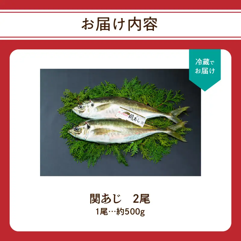 関あじ（鮮魚セット）2尾 E04023