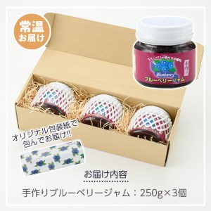 isa223 手作りブルーベリージャム(計3個・各250g) 詰合せ ギフト ジャム 手づくり 自家栽培 ブルーベリー 甘さ控えめ【伊佐ブルーベリーつみとり観光農園】