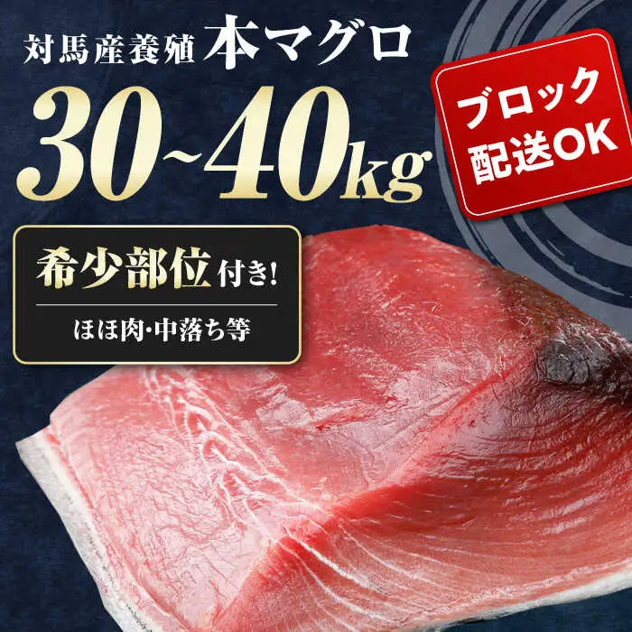 対馬産 本マグロ 1尾 計30~40kg [WAH005] マグロ まぐろ 本マグロ 1本 トロ 中トロ 大トロ 大とろ カマ 