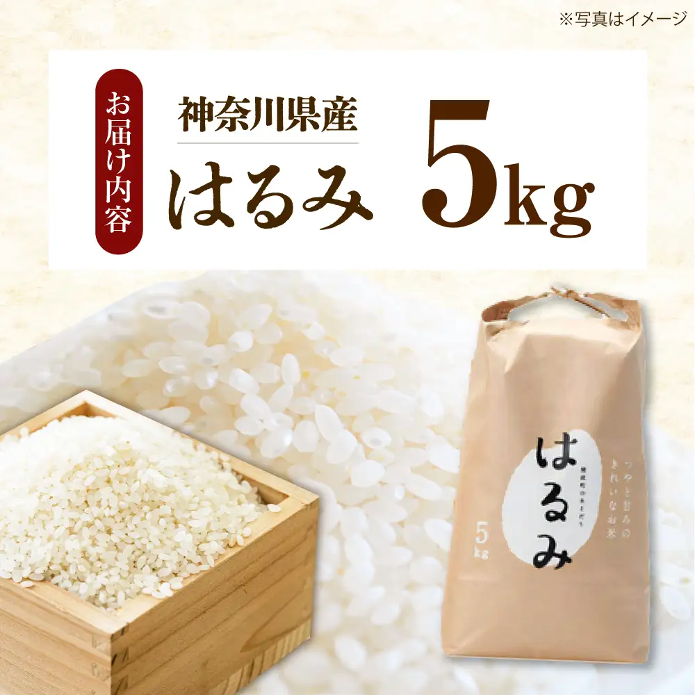 【先行予約】はるみ 新米 新米 5kg 令和8年産 [BDAF001] 