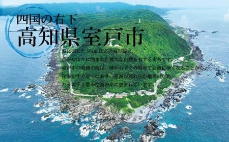 ジェラート 食べ比べ 7個 アイス 室戸市 ジェラート