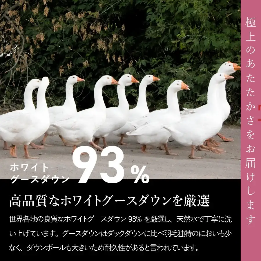 布団 【訳あり】甲州羽毛ふとん　二層式本掛けふとんホワイトグースダウン93%（シングル/お任せ柄）寒色 専用収納ケース