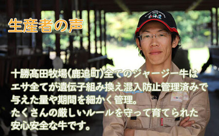 十勝ジャージーミルキーアイスクリームバラエティセットB SKM005 【 人気  北海道 鹿追町 送料無料 】 SKM005