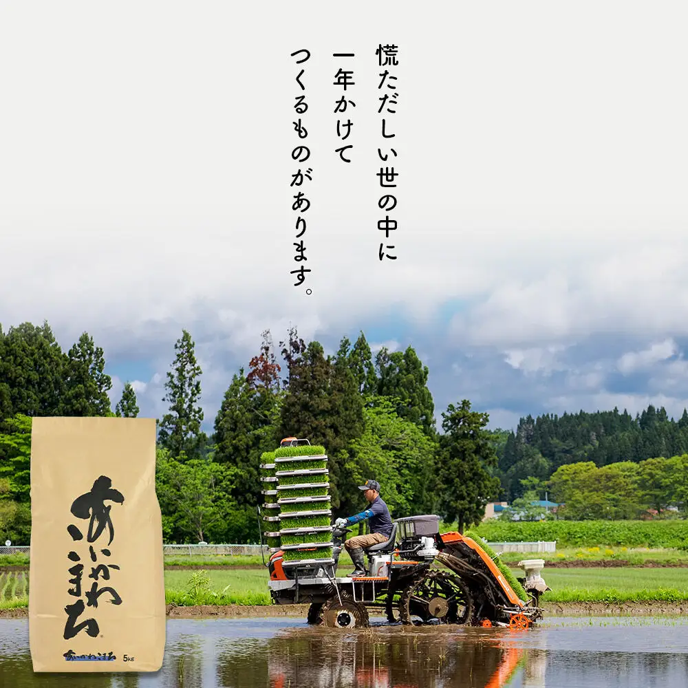 新米 R8産 秋田県産 あきたこまち 5kg【玄米】(5kg小分け袋)【1回のみお届け】2026年産 令和8年産  お届け時期選べる お米 藤岡農産
