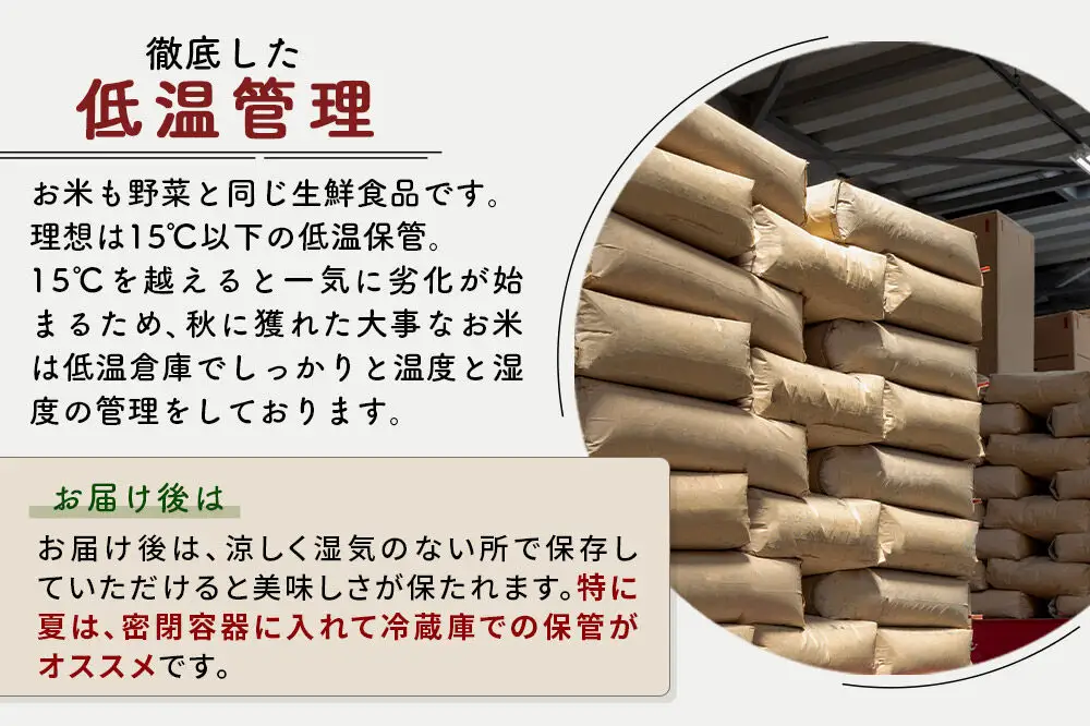 ※令和7年産※秋田県産 あきたこまち 10kg【白米】(5kg小分け袋)【1回のみお届け】2025年産 お届け時期選べる お米 藤岡農産
