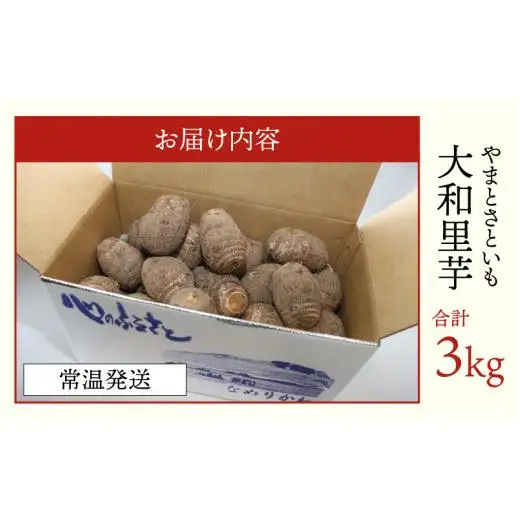 【先行予約】さといも 大和里芋（やまと）3kg【2026年11月中旬より順次発送予定】| 野菜 芋 イモ 根菜 いも 煮物 旬 味覚 秋