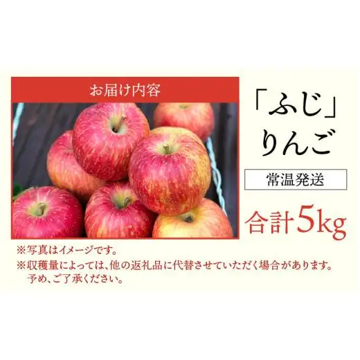 【先行予約】りんご 5kg【2026年12月以降順次発送予定】エコファーマー認定 | 林檎 リンゴ 果物 フルーツ 甘い ふじ 蜜入り 5kg 5キロ