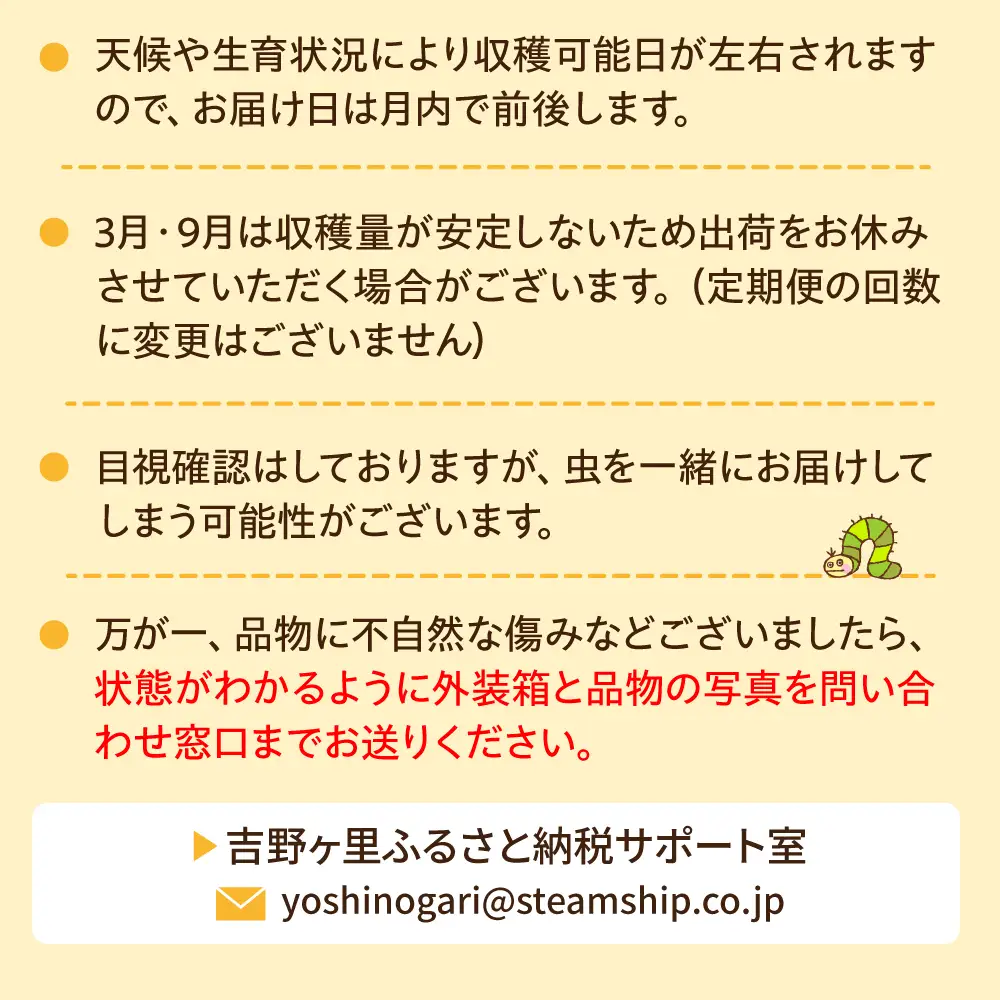 【16品 / 12回定期便】「よしのがり野菜」セット（ラージ）[FAA010]