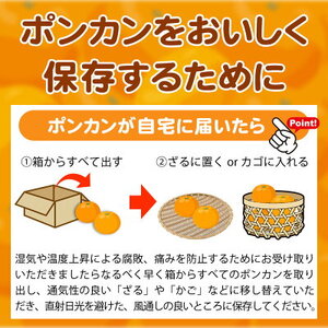 【2027年先行予約】紀州和歌山有田産 ポンカン 5kg_G7055