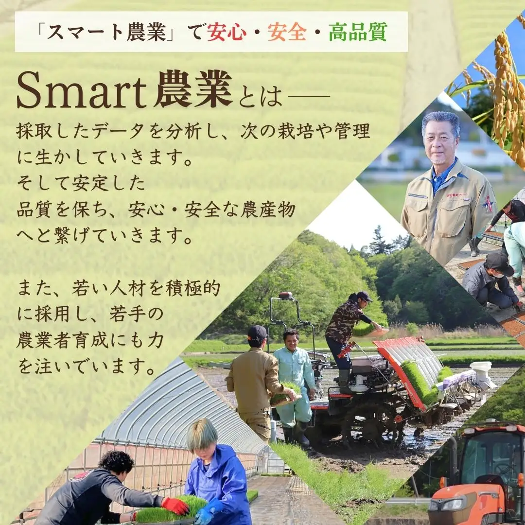 パックご飯 天のつぶ 24個 令和7年産 | パックご飯 備蓄 保存食 南相馬