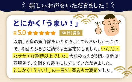 【2025年1月先行予約】五島の天然さざえ 約3kg 五島市 / 五島FF [PBJ007]   サザエ 栄螺 貝 海鮮 BBQ 壺焼き 刺身 冷蔵