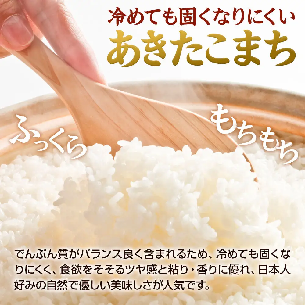 MUSHAMAI あきたこまち「こだわり米」10kg（5kg×2袋）お米 精米 令和8年産 秋田県 男鹿市
