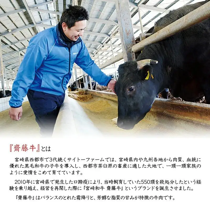 宮崎和牛  齋藤牛サイコロステーキ600g 黒毛和牛 赤身肉主体  訳あり 牛肉 ステーキ サイトーファームブランド＜5-12a＞