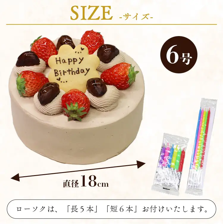誕生日チョコケーキ 6号サイズ | チョコケーキ it-0067