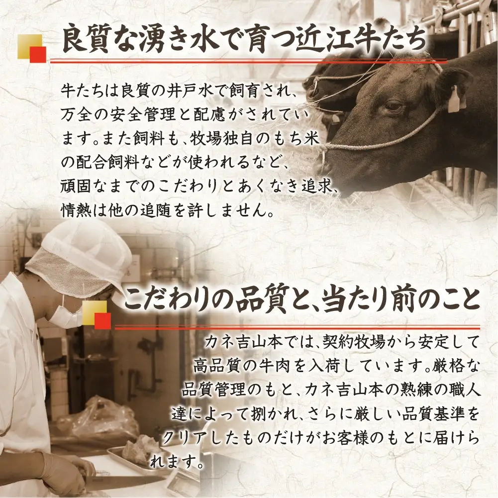 近江牛 すきやき [ 赤身 ] 500g カネ吉山本 【Y093W1】 すき焼き 【 近江牛 】 牛肉
