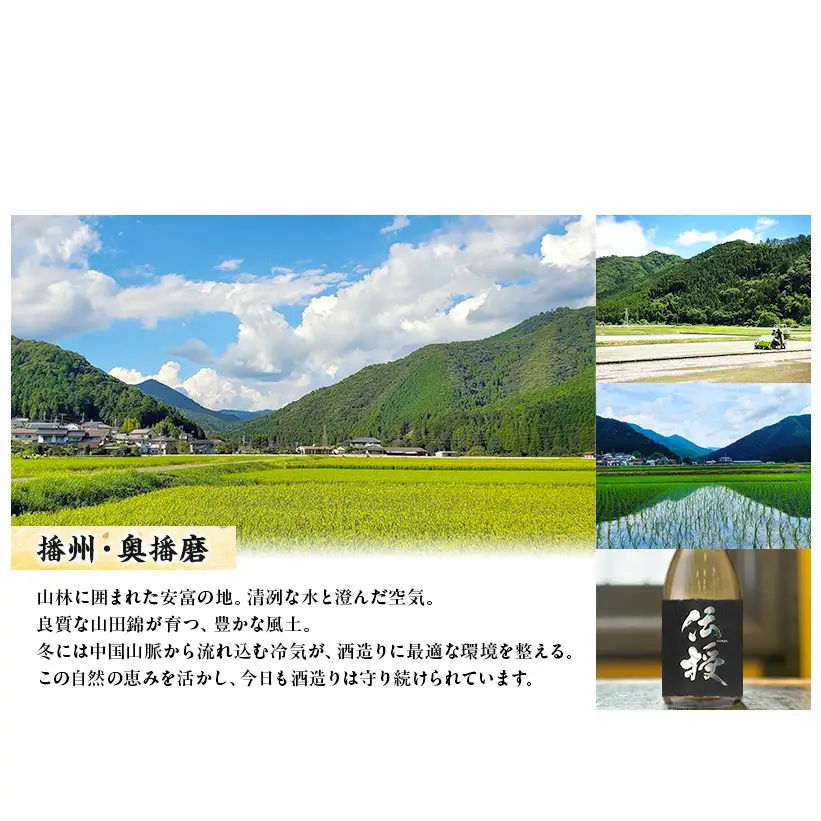日本酒 奥播磨 純米 720ml × 2本 飲み比べ セット 純米酒 純米吟醸 飲み比べセット 地酒 清酒 お酒 酒 アルコール 山田錦 純米吟醸酒 辛口 冷酒 熱燗 720 家飲み 日本酒セット 兵庫 兵庫県 姫路市