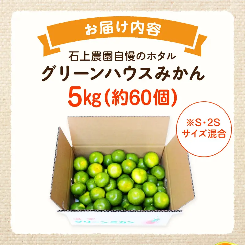 石上農園自慢のホタル（グリーンハウスミカン）5kg_K011-003