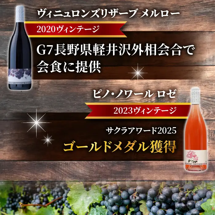IWC＆日本ワインコンクール受賞！赤白ワイン 2種4本（ヴィニュロンズリザーブ シャルドネ＆ メルロー ）｜【ヴィラデストワイナリー】G7提供ワイン 東御ワイン 長野ワイン 日本ワイン ワイン 白ワイン 辛口 赤ワイン フルボディ GI長野