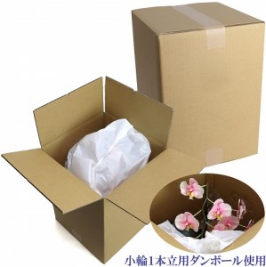 綺麗で丈夫な三河陶器で贈る光触媒胡蝶蘭小輪１本立（ピンクの陶器×桃色の花）H100-080