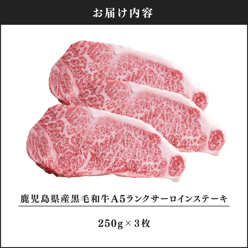 1398-1 鹿児島県産黒毛和牛A5ランクサーロインステーキ 750g（250g×3枚） KN041-001-02 肉 牛肉 冷凍