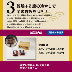 【ジャパンフードセレクション 金賞】 焼き芋 蜜たっぷり！冷やし焼き芋 ひえひえ君 紅はるか「甘太くん」 1kg（4～6袋） 芋スイーツ H047-043