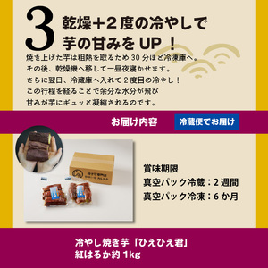 【ジャパンフードセレクション 金賞】 焼き芋 蜜たっぷり！冷やし焼き芋 ひえひえ君 紅はるか 1kg（4～6袋） 芋スイーツ H047-042