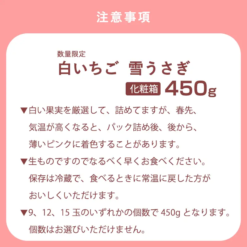 『先行予約』【令和9年1月より順次発送】白いちご 雪うさぎ 450ｇ入り化粧箱（佐賀県唐津市限定生産）